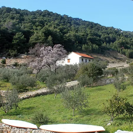 Uvala Torac 8653b * Gdinj